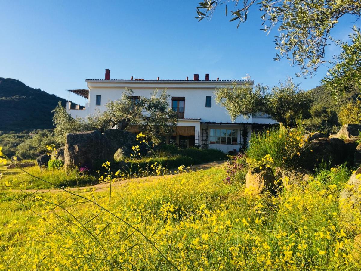 Flores Amarillas B&B Almoharin Bagian luar foto