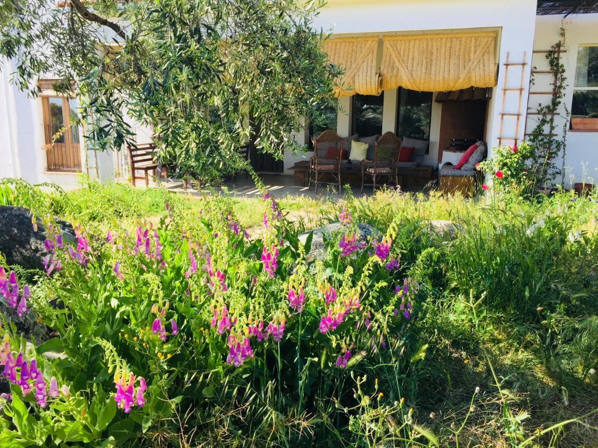 Flores Amarillas B&B Almoharin Bagian luar foto